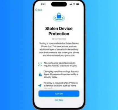 昭阳苹果授权维修店分享被盗设备保护功能开启方法 