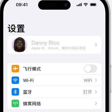 昭阳appleID维修服务iPhone设置中Apple ID显示为灰色无法使用