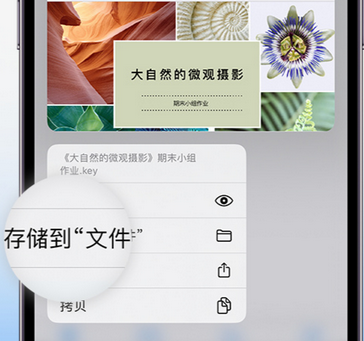 昭阳apple维修中心分享iPhone文件应用中存储和找到下载文件