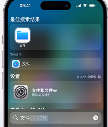 昭阳apple维修中心分享iPhone文件应用中存储和找到下载文件