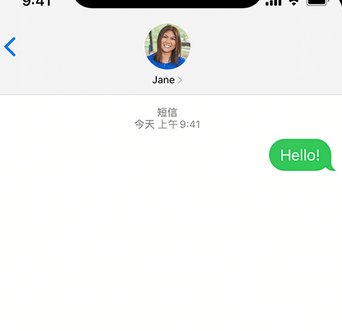 昭阳apple维修iPhone上无法正常发送iMessage信息