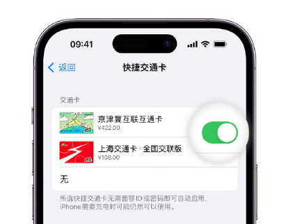 昭阳apple维修点分享iPhone上更换Apple Pay快捷交通卡手绘卡面 