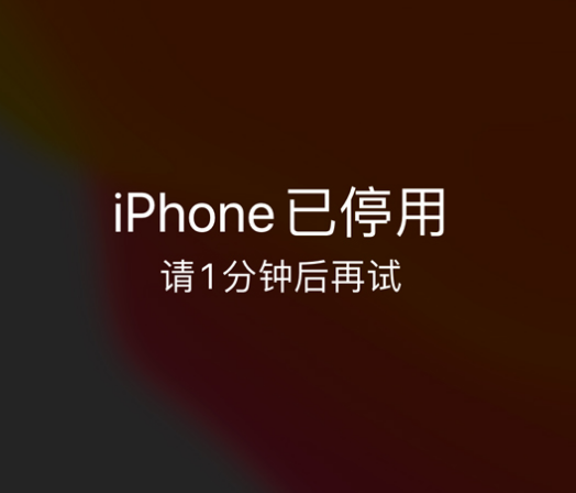 昭阳苹果手机维修分享:iPhone 显示“不可用”或“已停用”怎么办？还能保留数据吗？ 