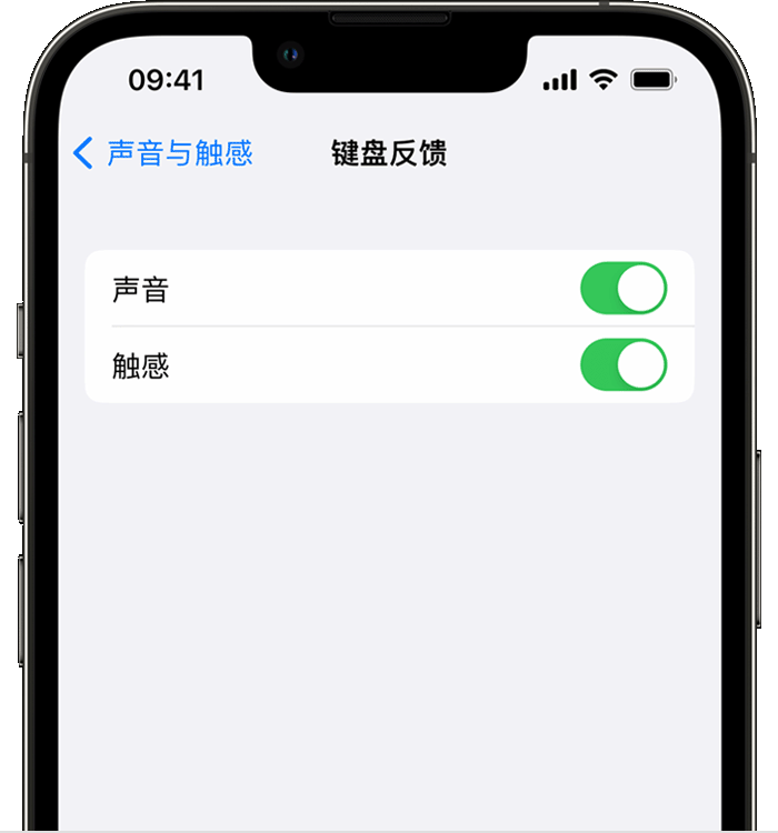 昭阳苹果14维修店分享如何在 iPhone 14 机型中使用触感键盘 