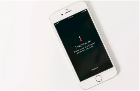 昭阳苹果手机维修分享iPhone 手机发热如何快速降温 