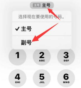 昭阳苹果14维修店分享iPhone 14 Pro Max使用副卡打电话的方法 