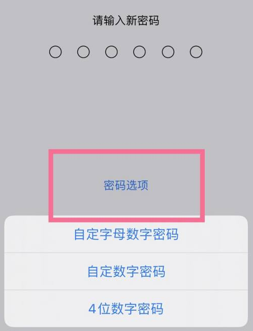 昭阳苹果14维修分享iPhone 14plus设置密码的方法 