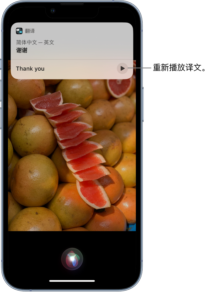 昭阳苹果14维修分享 iPhone 14 机型中使用 Siri：了解 Siri 能帮你做什么 