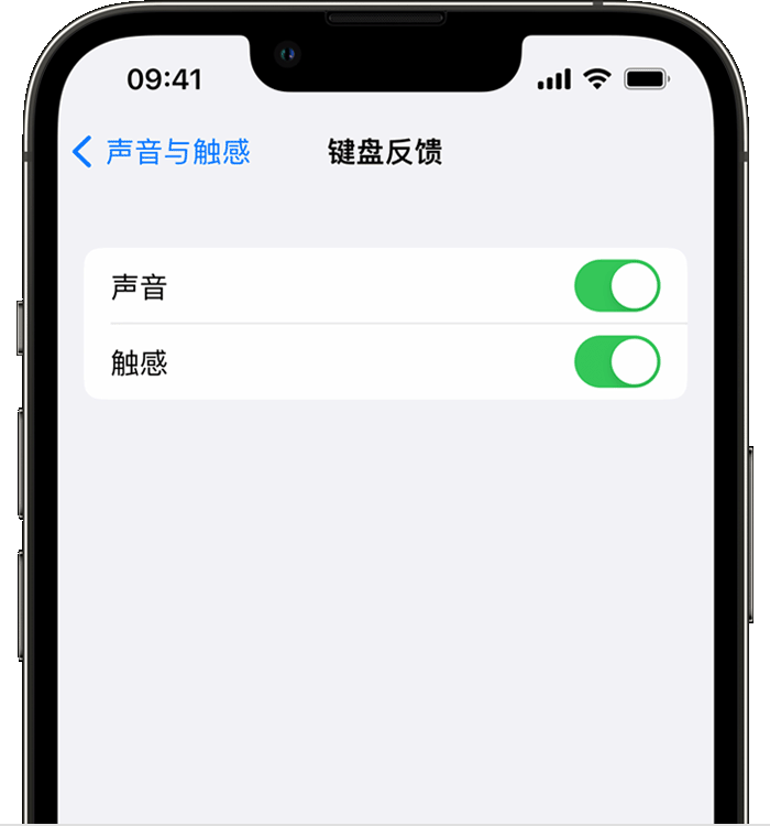昭阳苹果14维修分享iPhone 14 系列机型如何开启键盘声音或触感反馈 