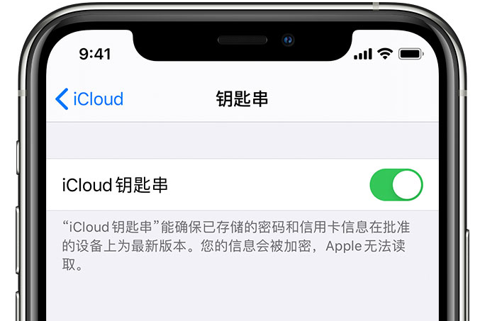 昭阳苹果手机维修分享在 iPhone 上开启 iCloud 钥匙串之后会储存哪些信息 