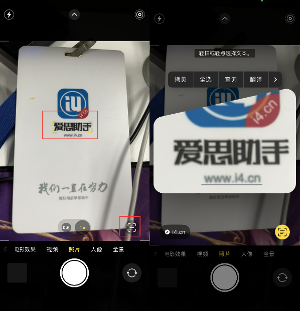 昭阳苹果手机维修分享升级iOS 16后如何通过相机翻译文本 