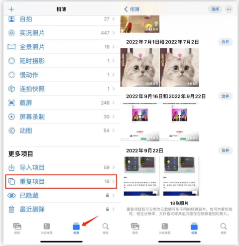 昭阳苹果手机维修分享iOS 16 中相册重复项目功能使用方法 