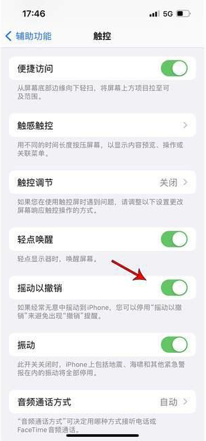 昭阳苹果手机维修分享iPhone手机如何设置摇一摇删除文字 