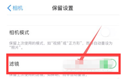 昭阳苹果13维修分享iPhone13拍照有绿点是怎么回事 