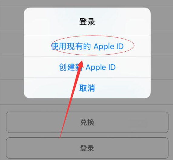 昭阳苹果手机维修分享两台iPhone设备可以同时登录一个Apple ID吗 