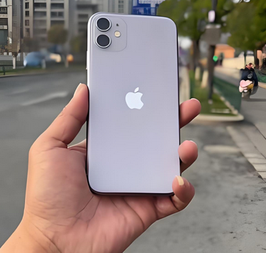 昭阳苹果11系统维修分享iPhone11手机系统崩溃无法开机如何解决